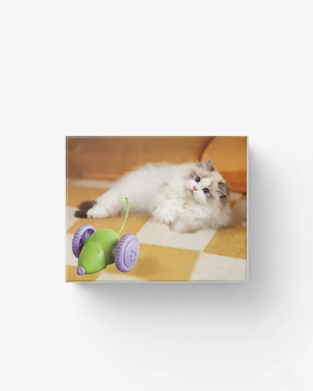 Interactive Robotic Mouse Toy
